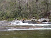 Wilsons Creek 35